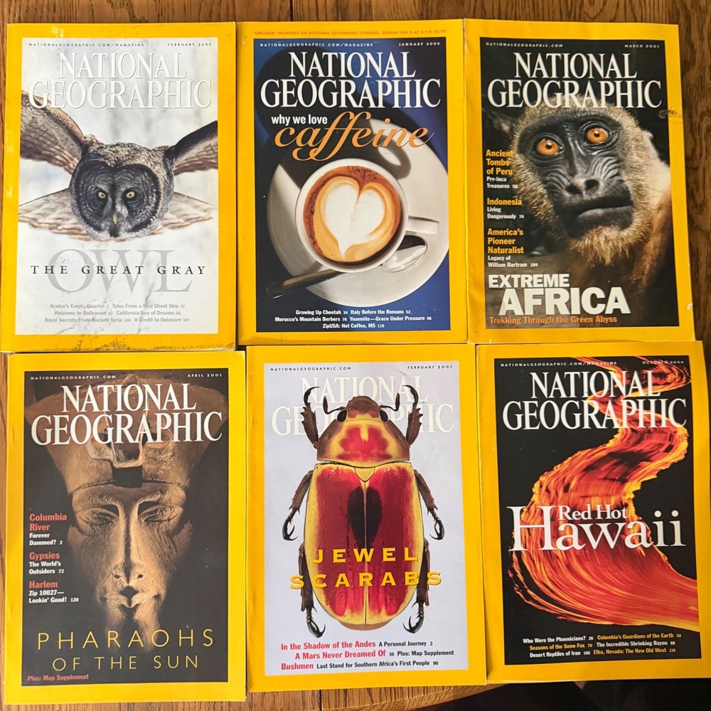 National Geographic Magazine Lot of 6 2001 2004 2005 Hawaii Owl Scarabs Africa